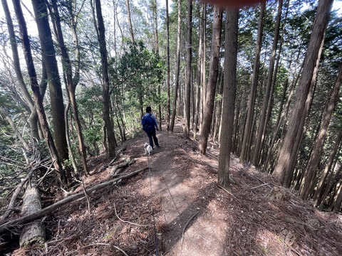 kanayama36