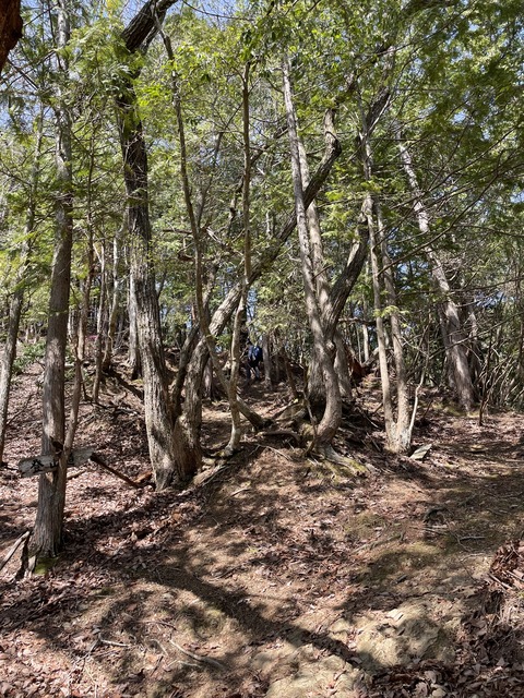 kanayama12