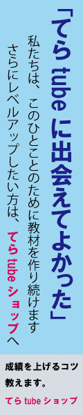 縦長バナー（てらtubeショップ）