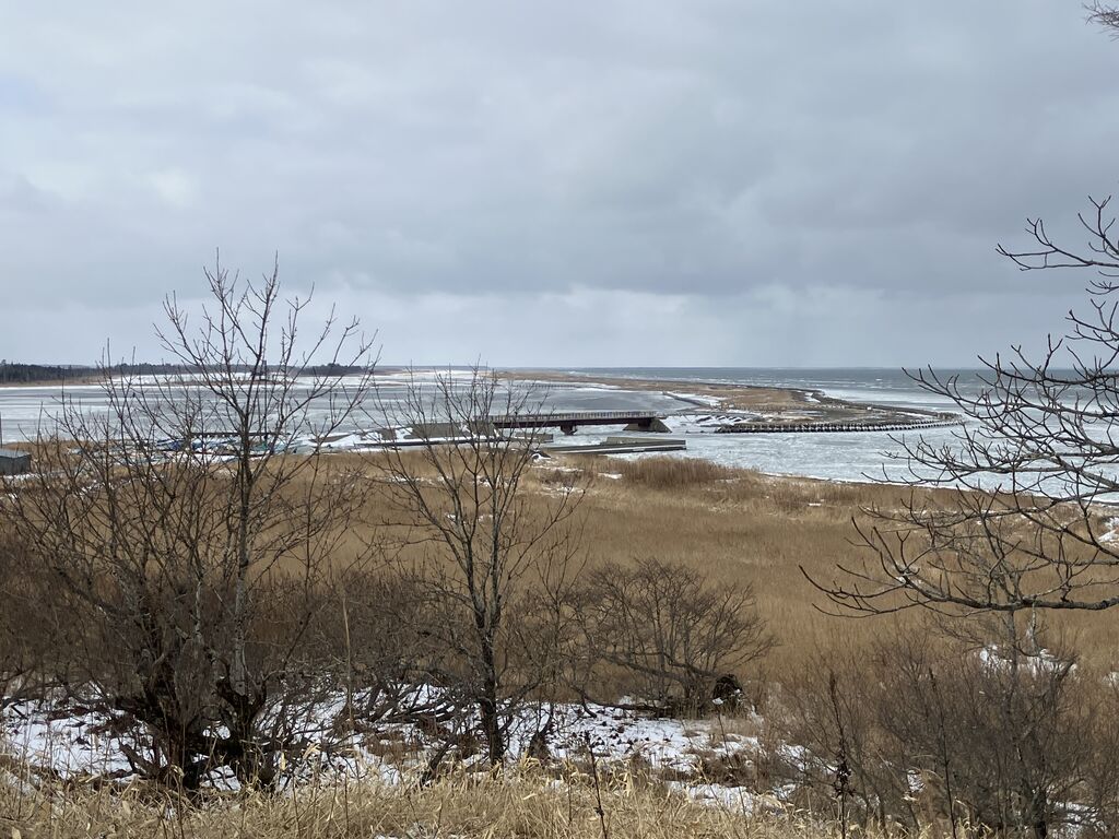 1/22春国岱自然情報 春国岱ネイチャーセンター