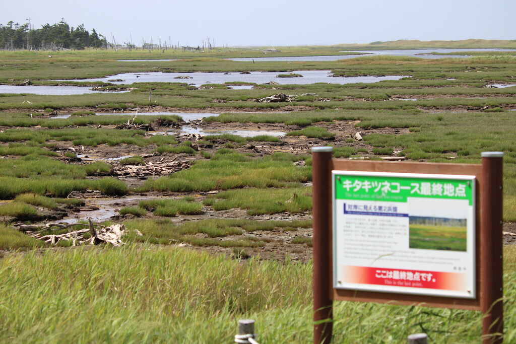 8/10 春国岱自然情報 春国岱ネイチャーセンター