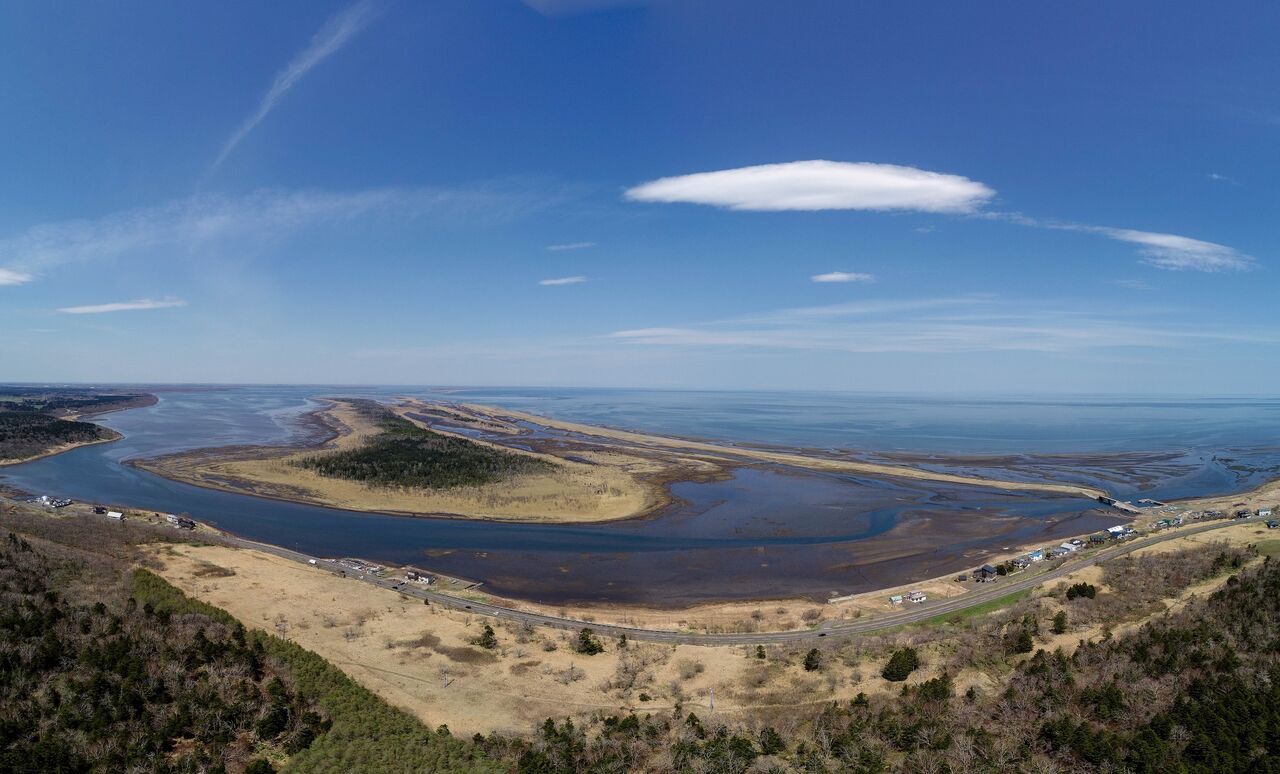 試験運用中です 春国岱ネイチャーセンター