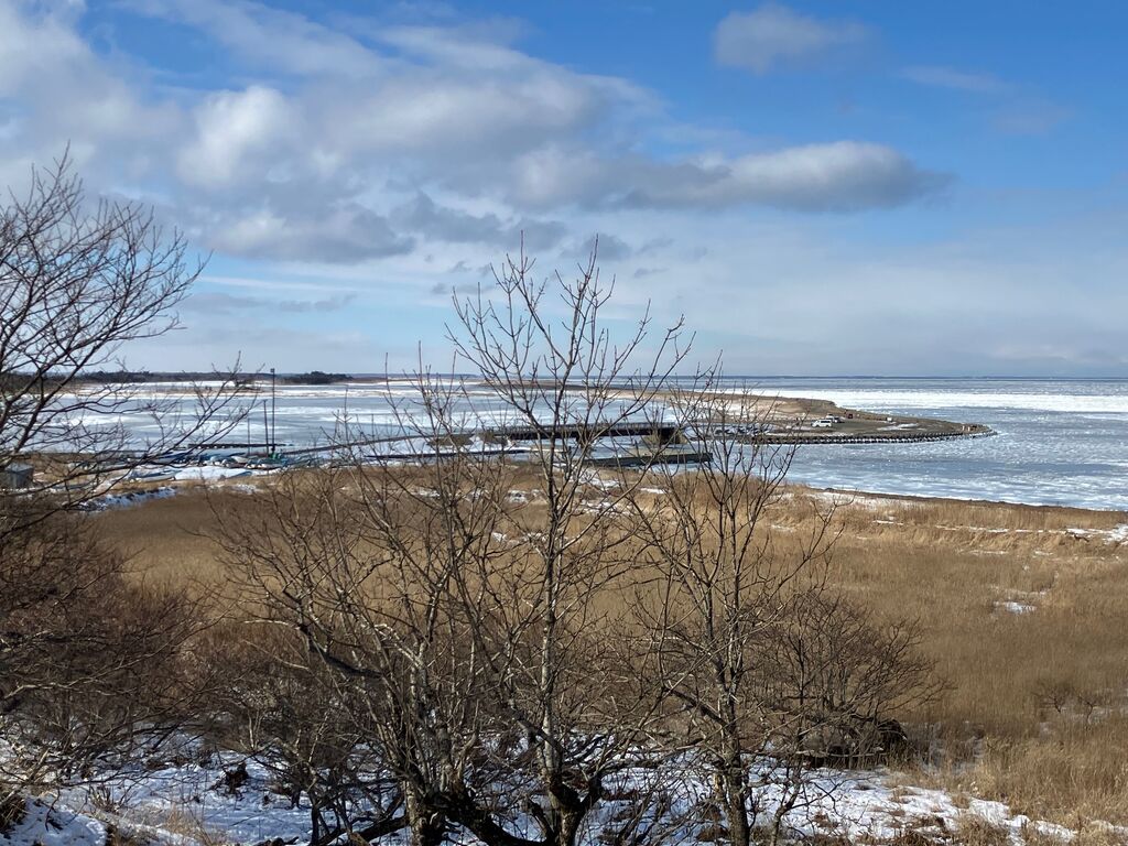 2/8 春国岱自然情報 春国岱ネイチャーセンター