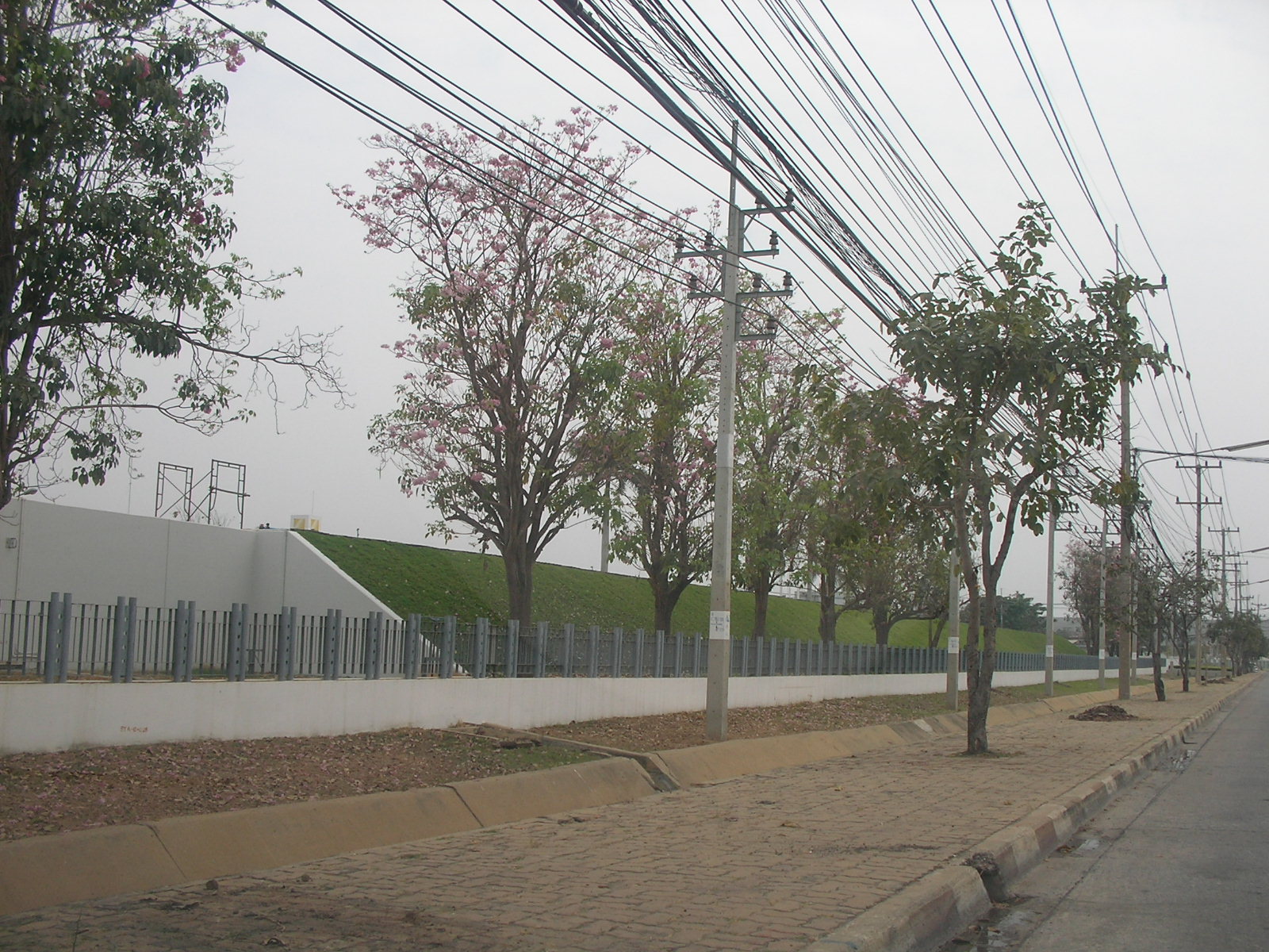 20140224_05.jpg