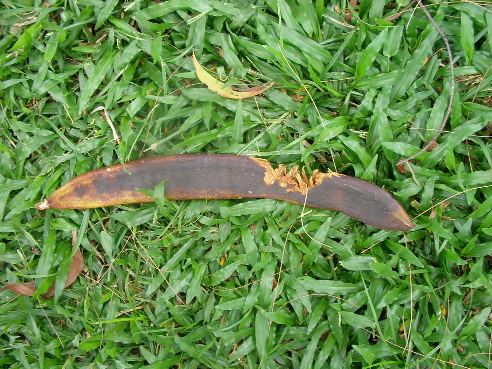 20131018_05.jpg