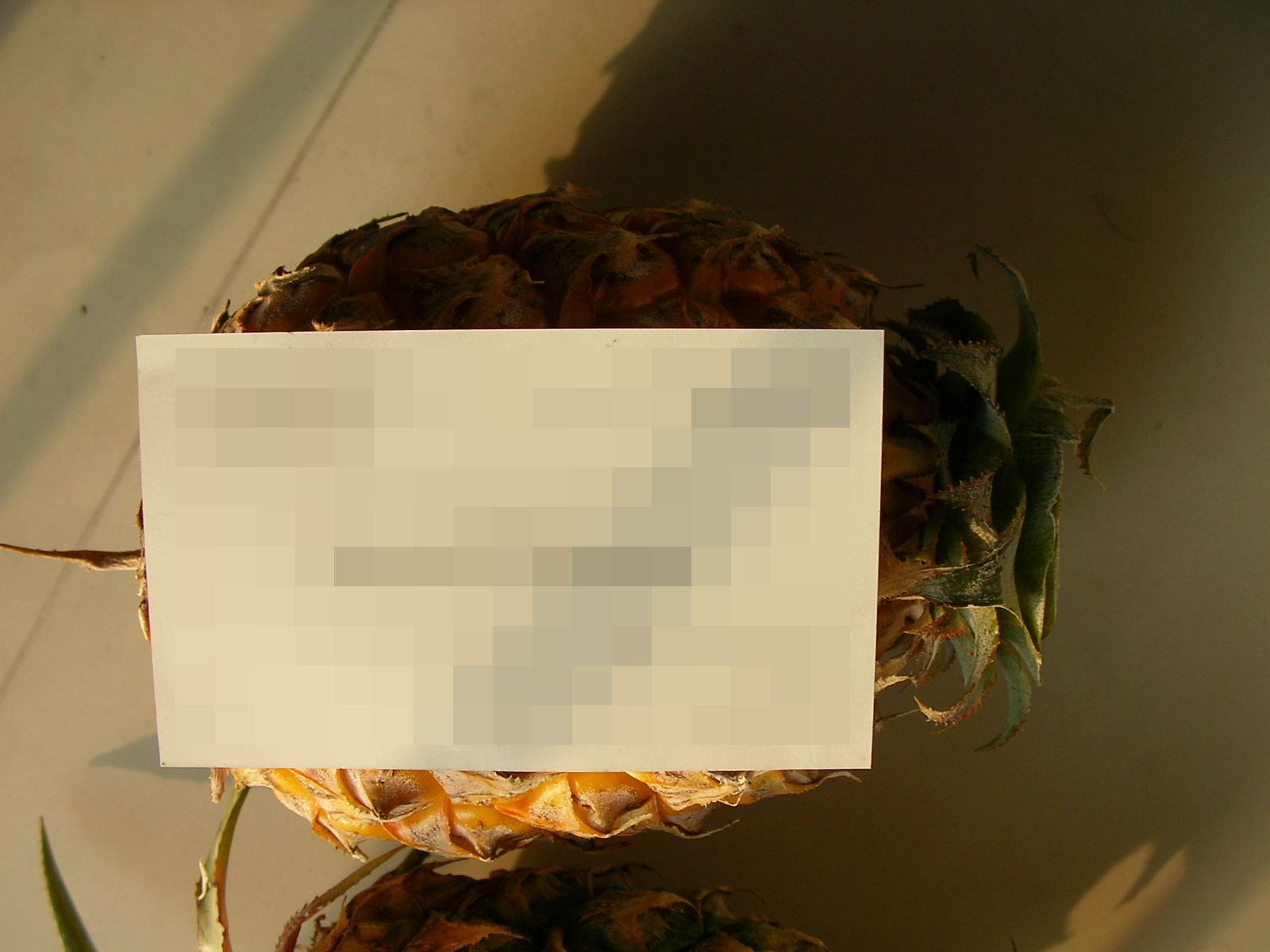 20140127_05.jpg