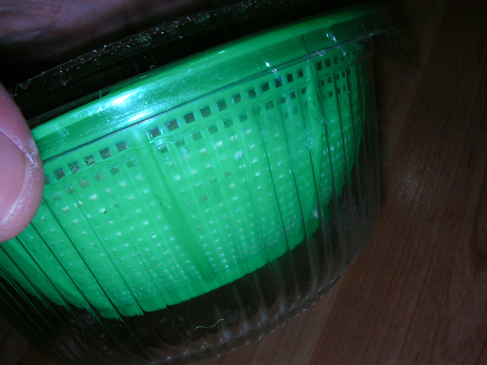 20121208_06.jpg