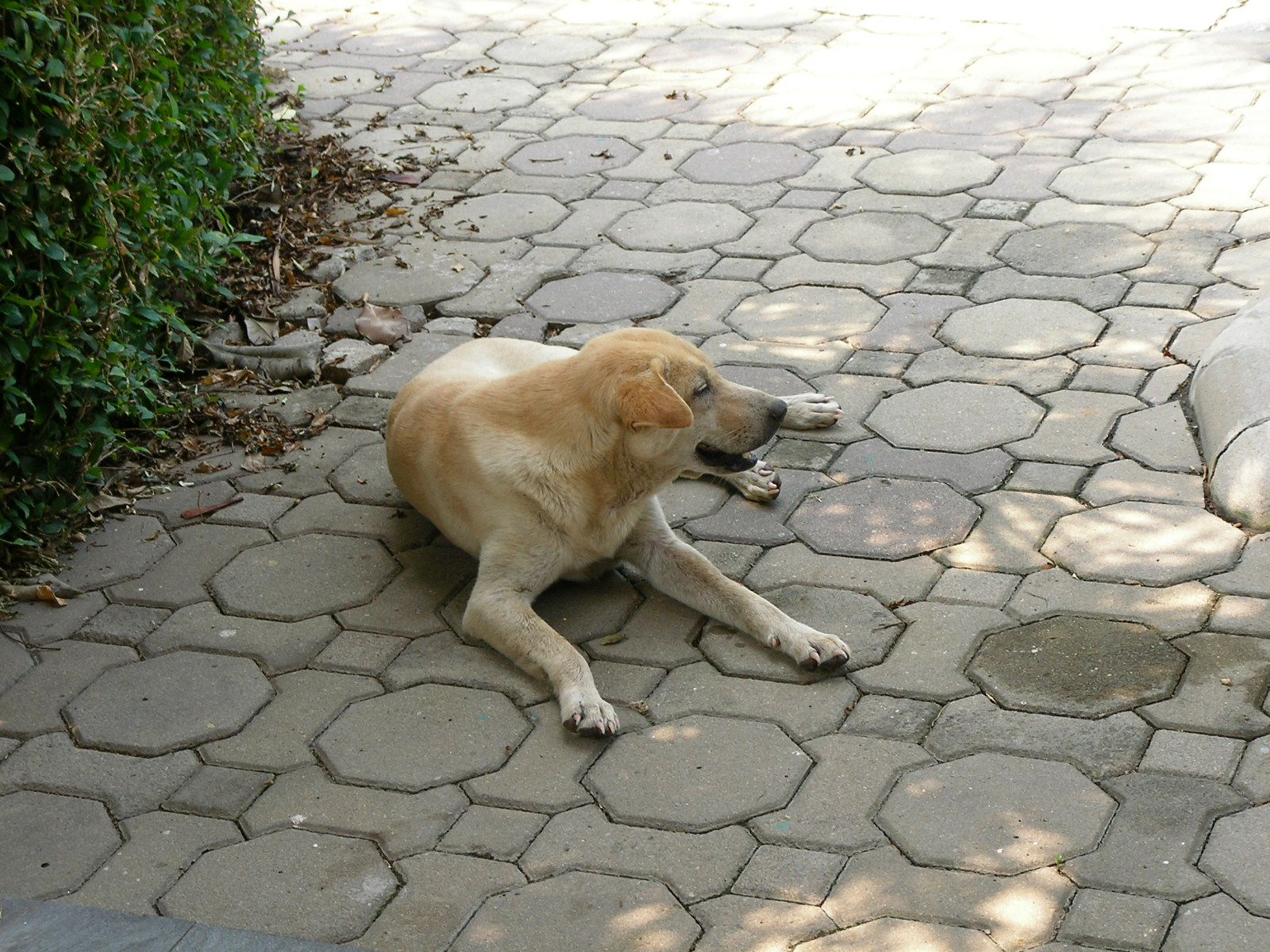 20150429_08.jpg