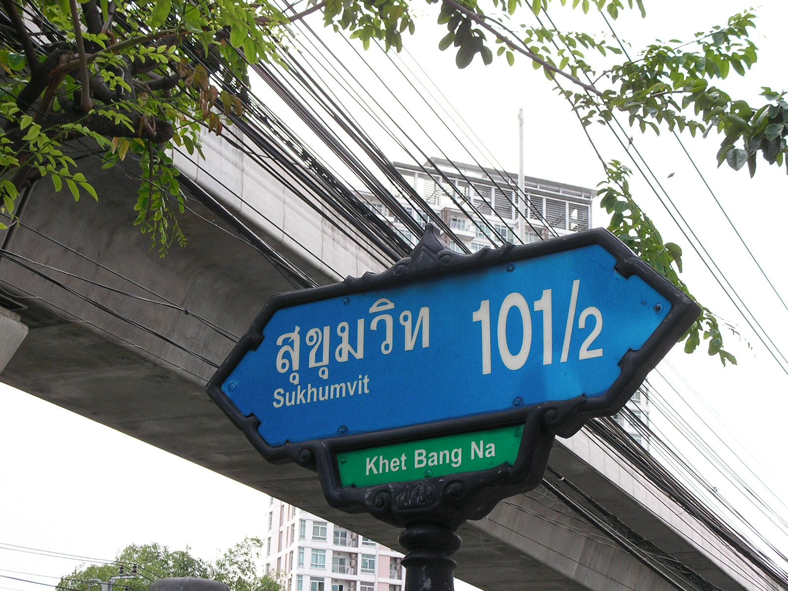 20150616_04.jpg