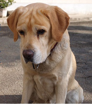 20111226_01.jpg
