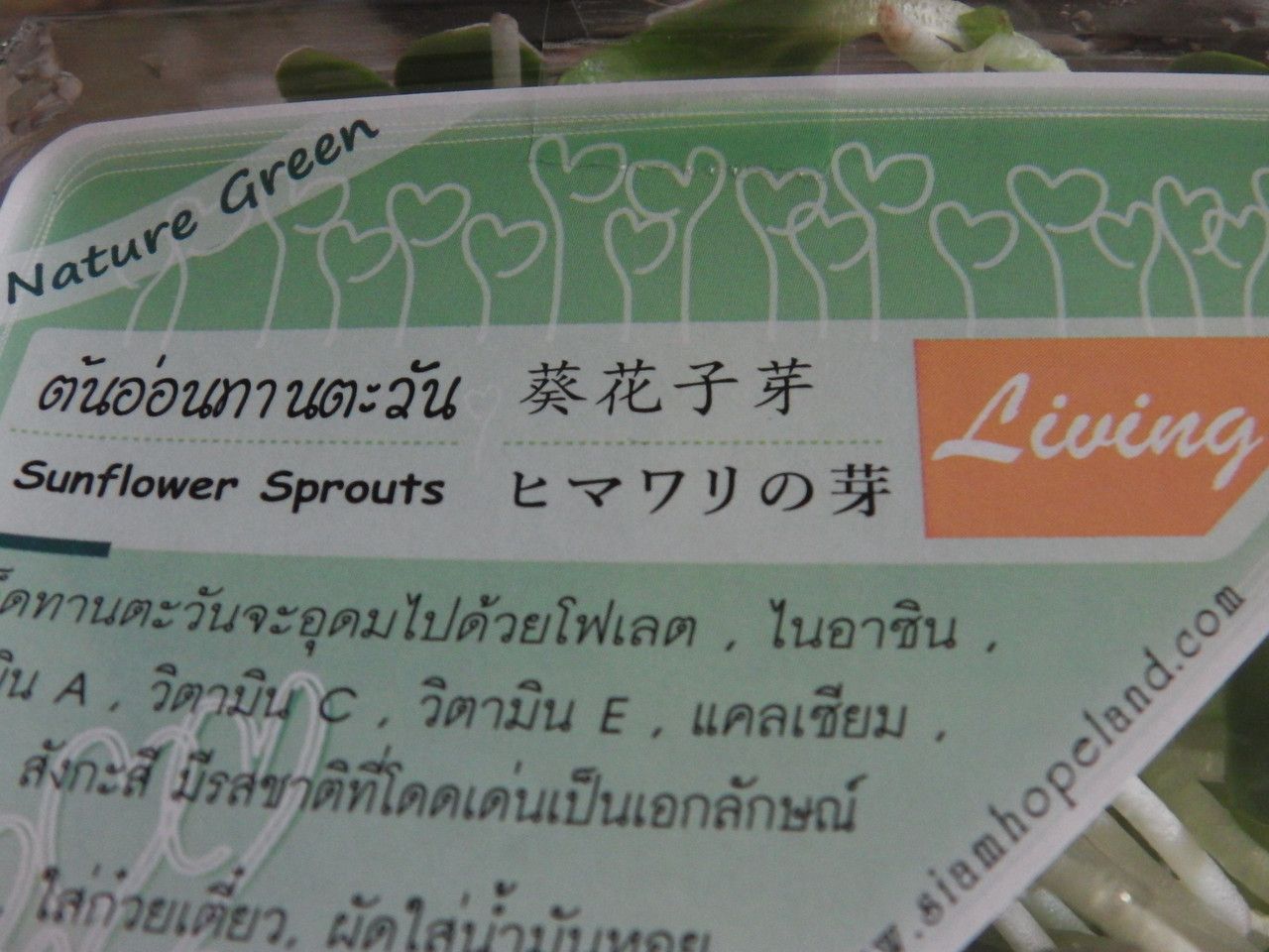 20160804_11.jpg