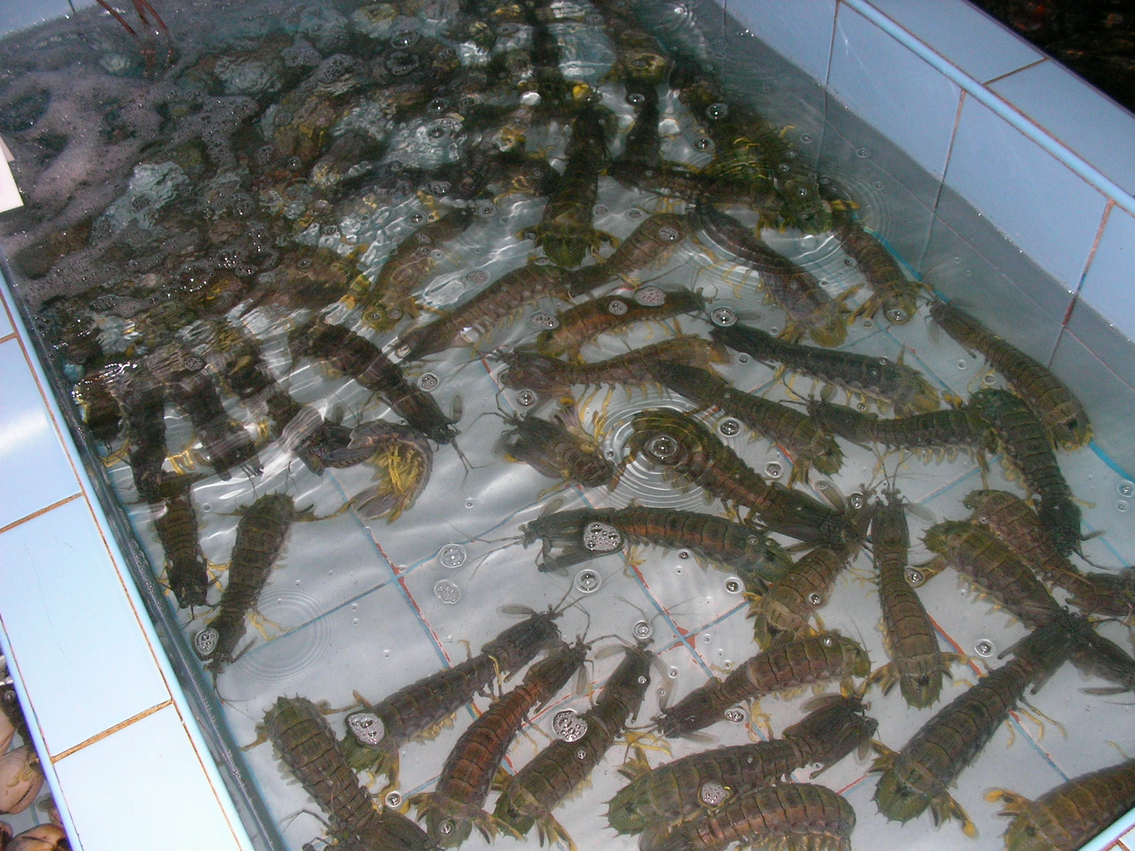 20140919_03.jpg