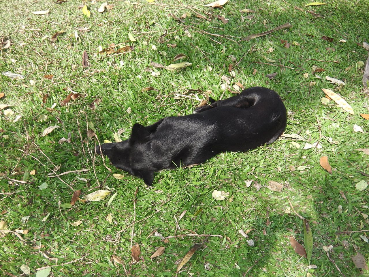 20160209_12.jpg
