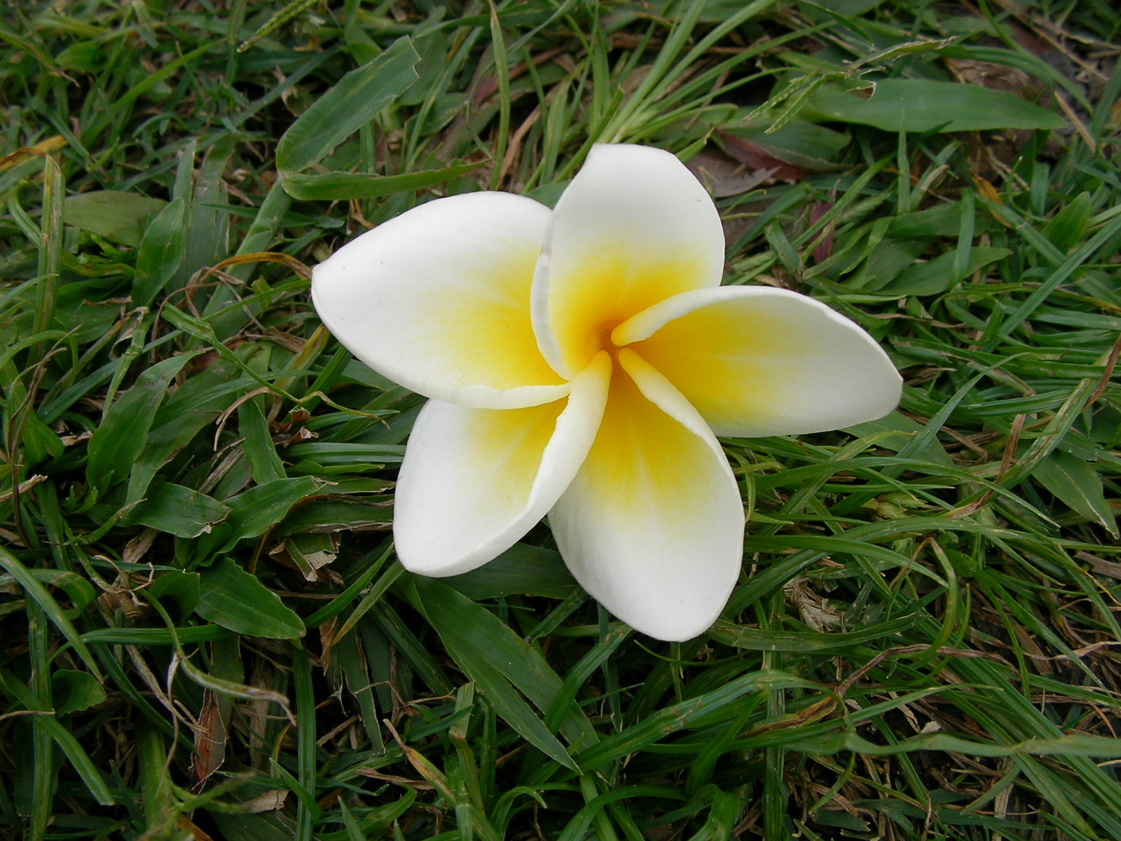 20140217_09.jpg