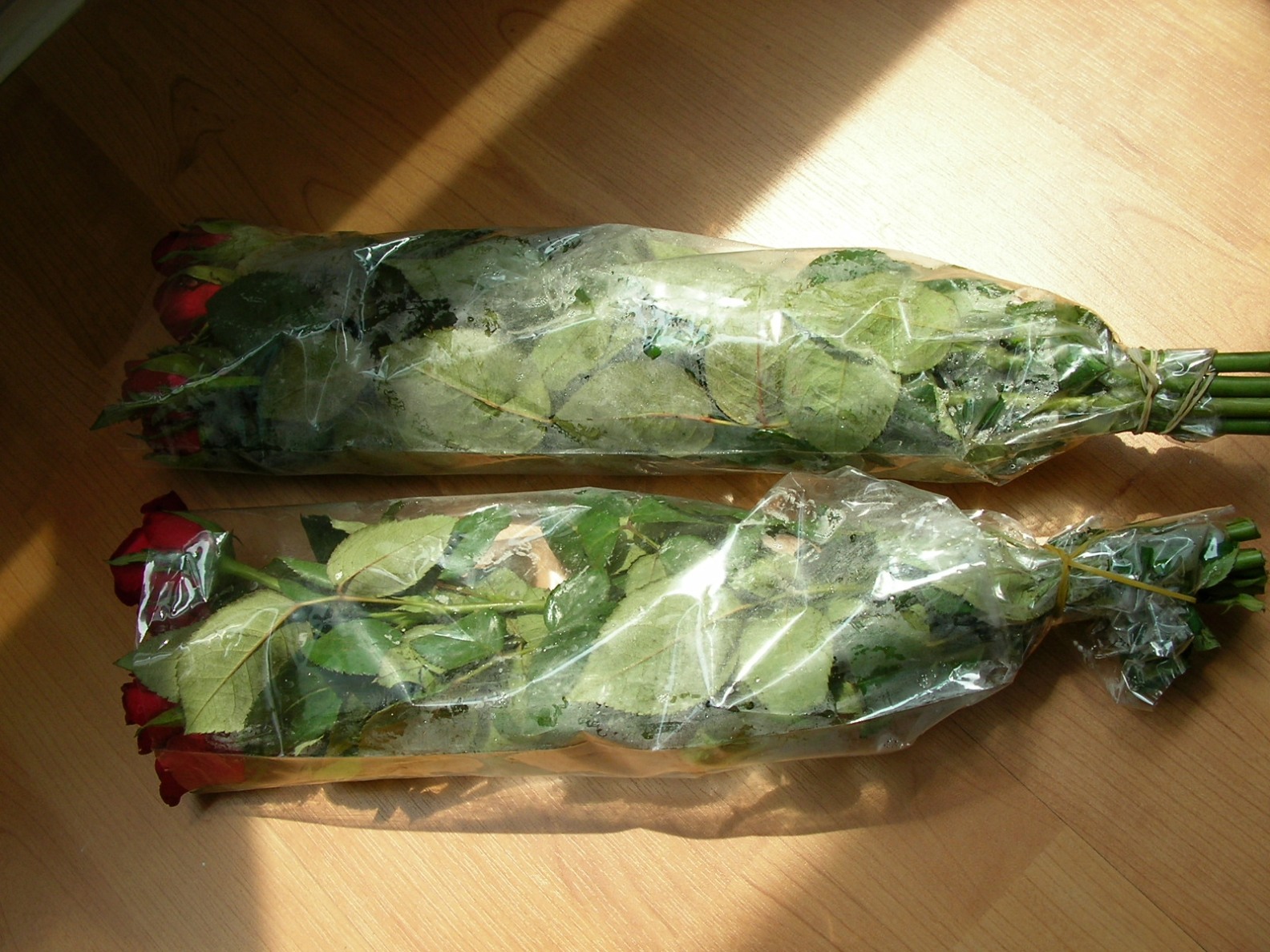20130407_02.jpg