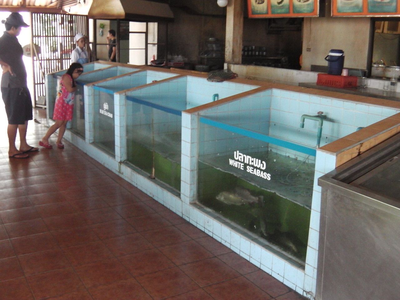 20160802_04.jpg