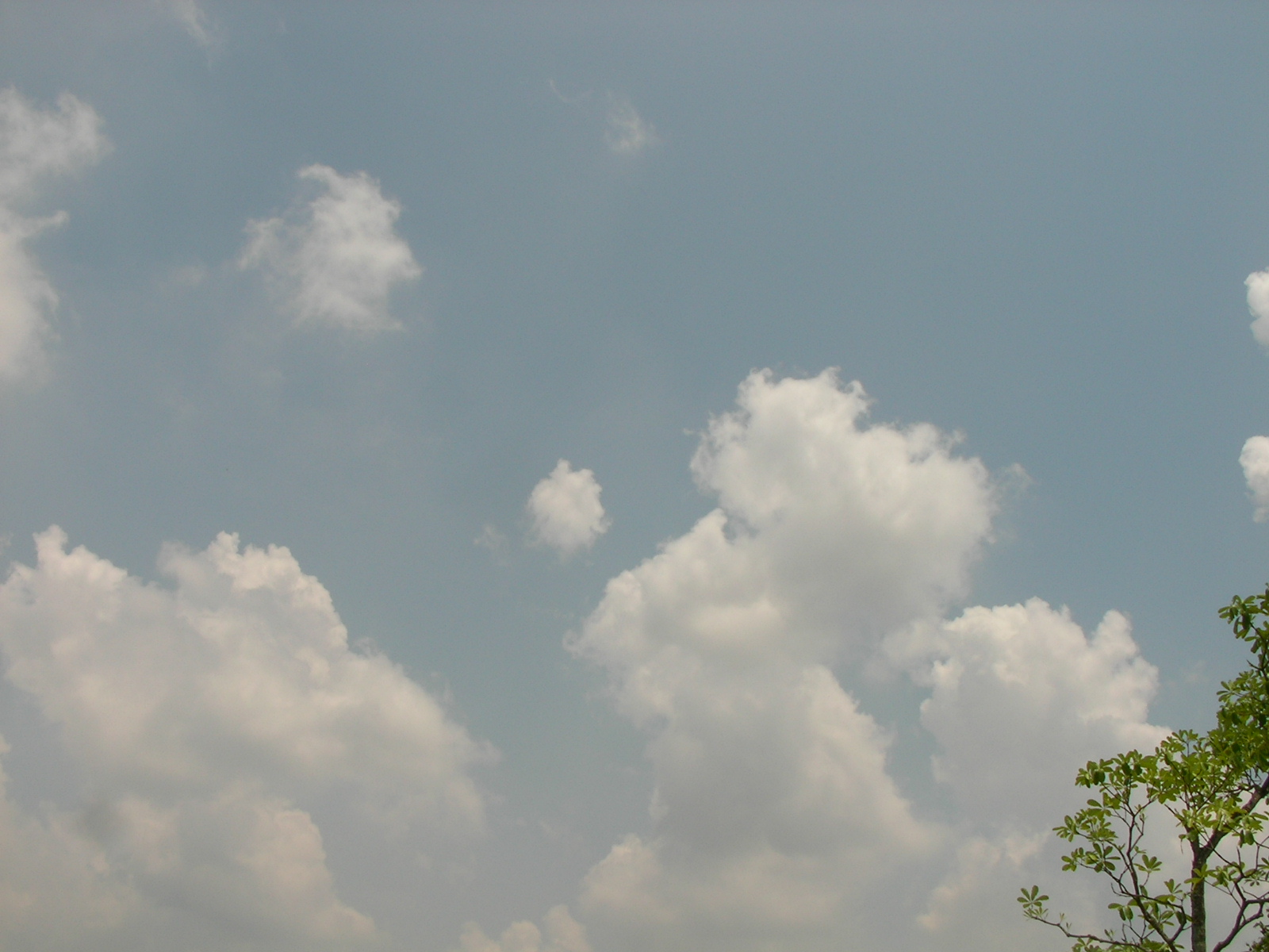 20140428_08.jpg