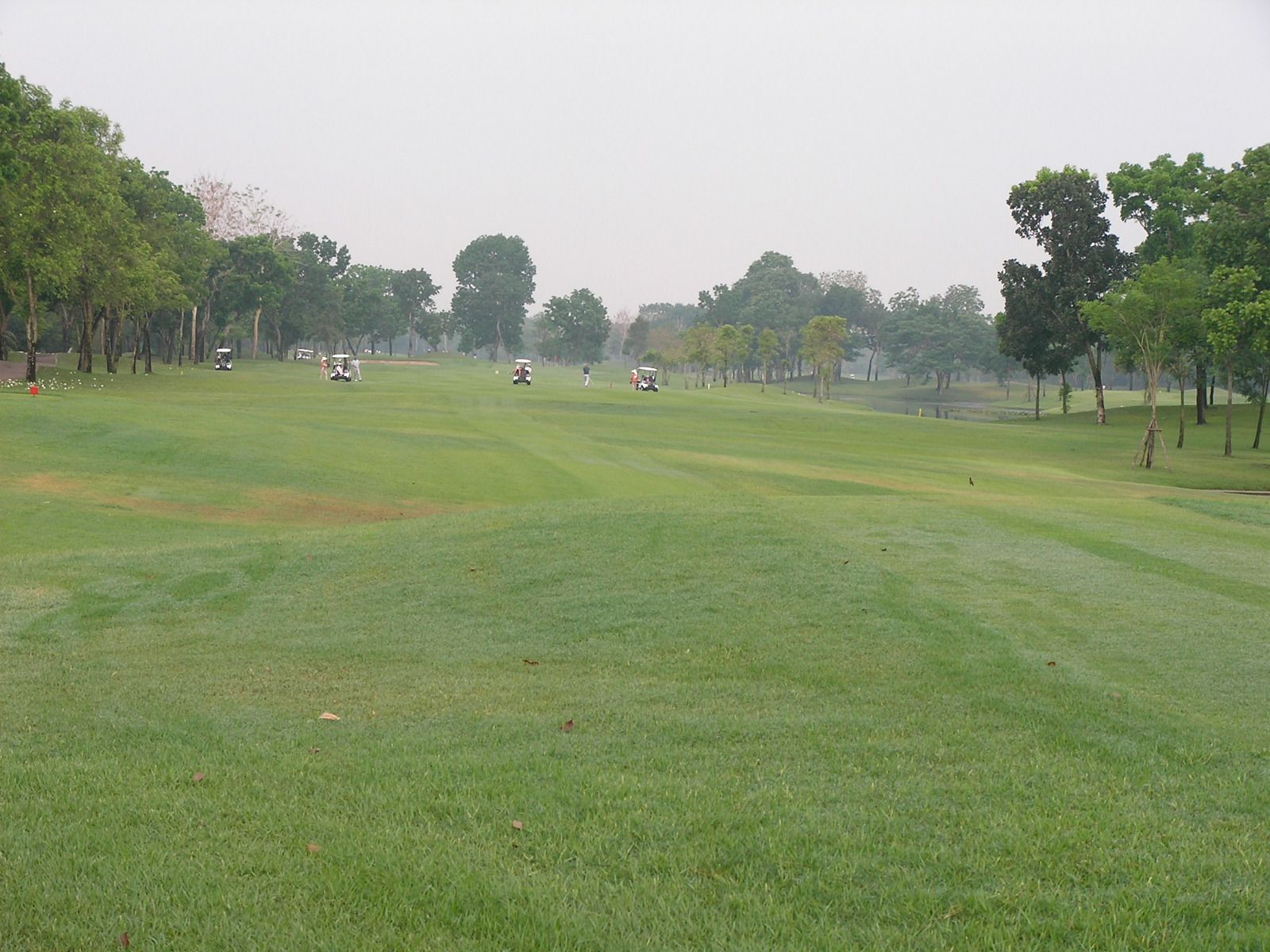 20150429_06.jpg