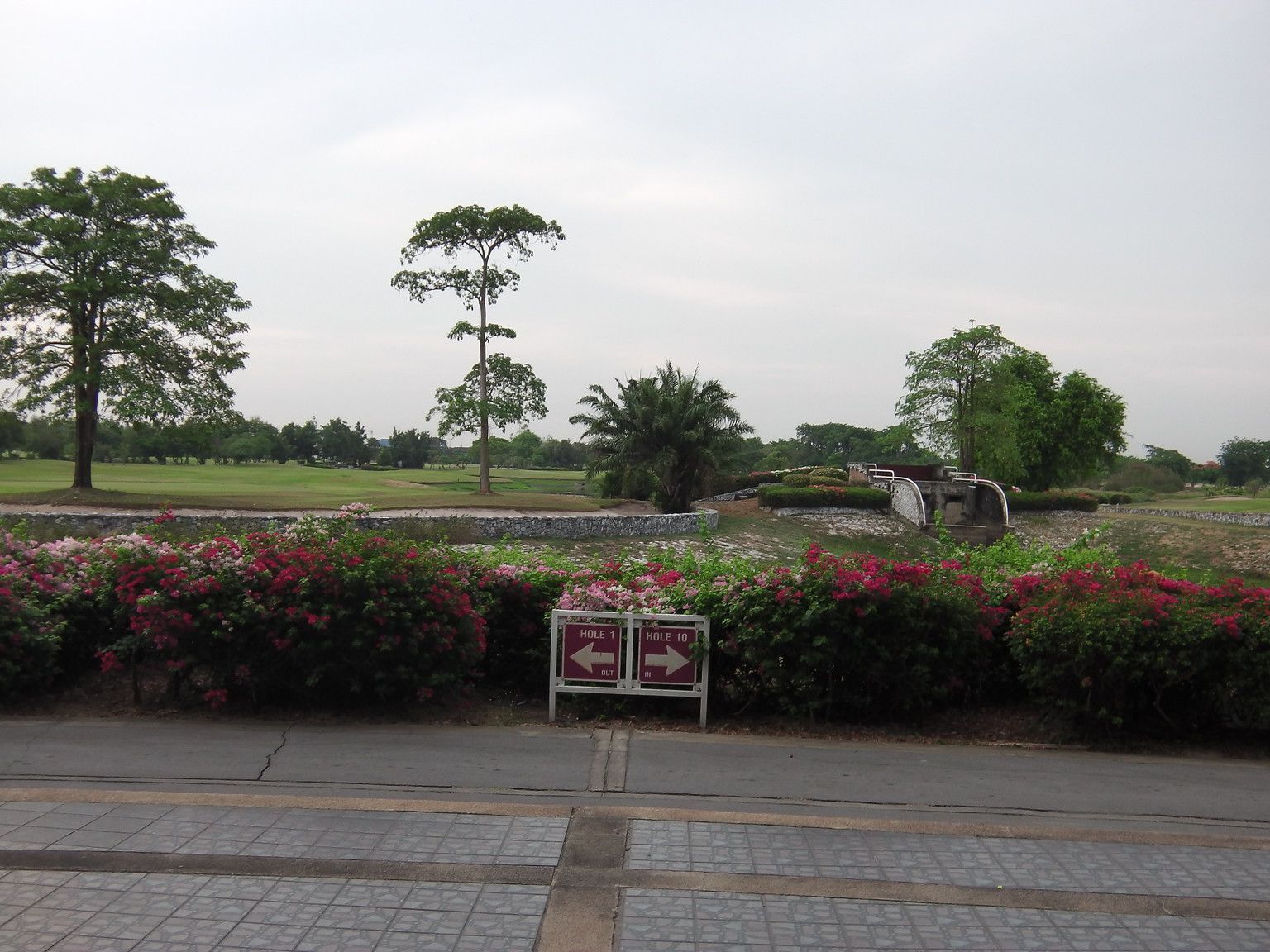 20160518_04.jpg