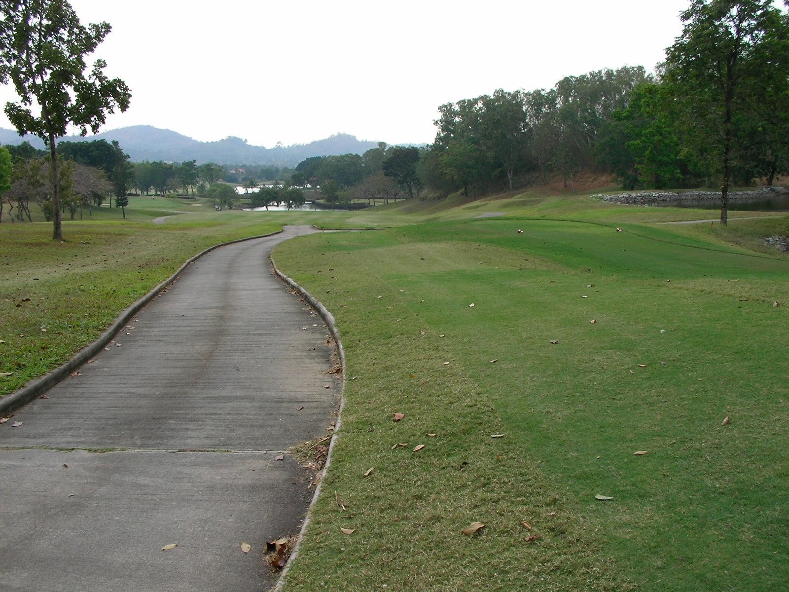 20140217_11.jpg
