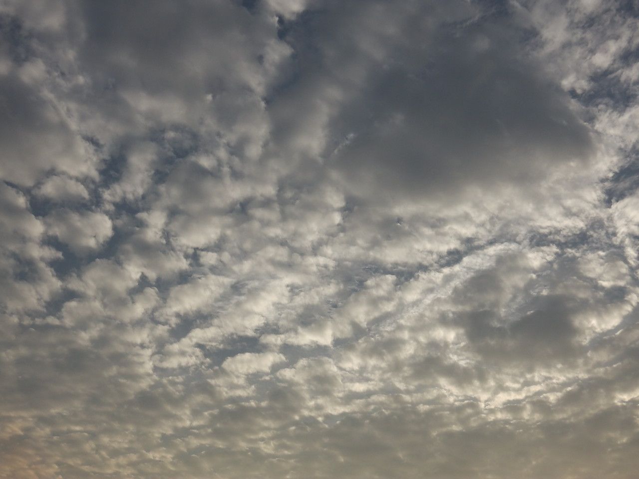 20160127_03.jpg