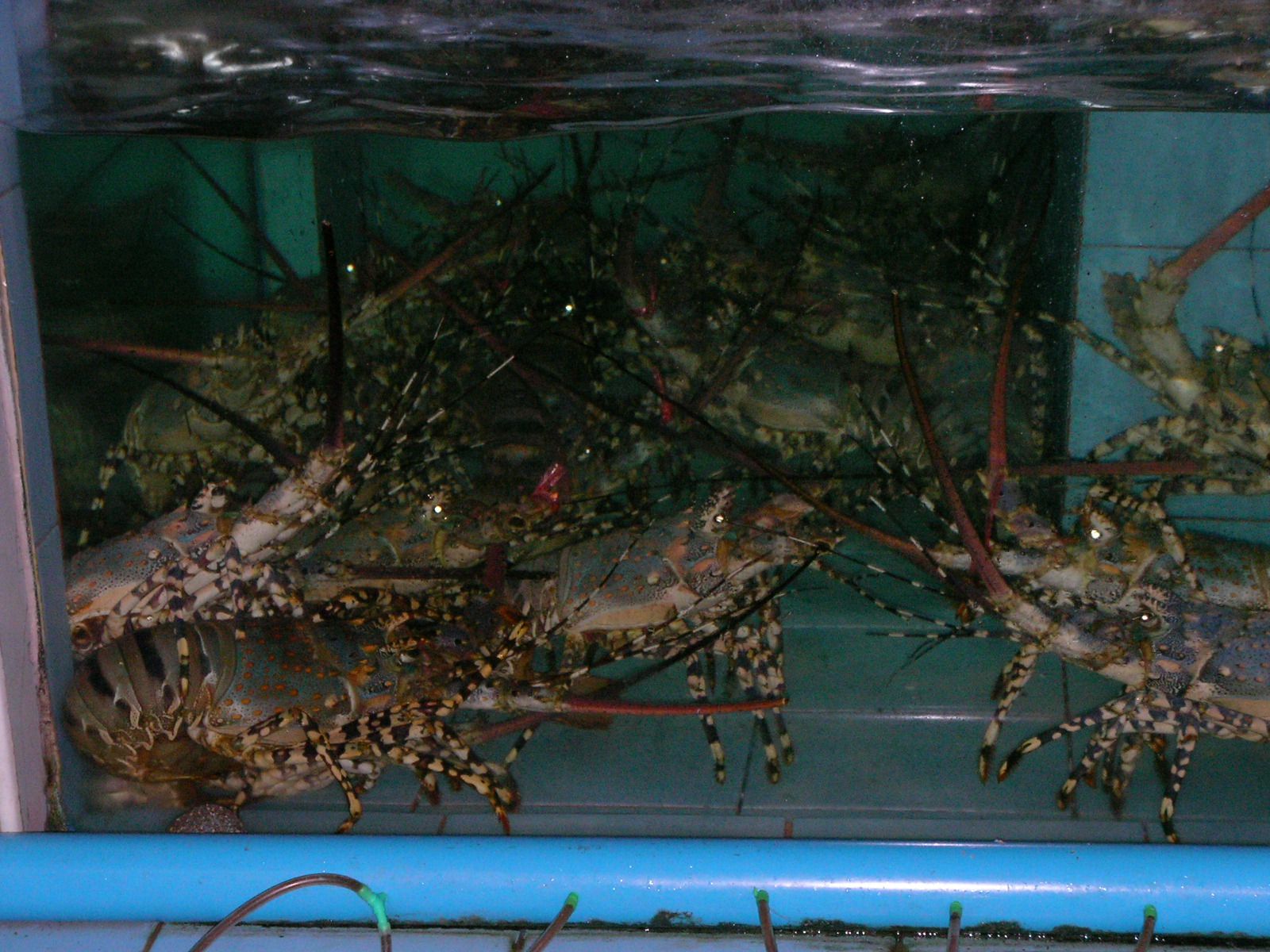 20150923_06.jpg