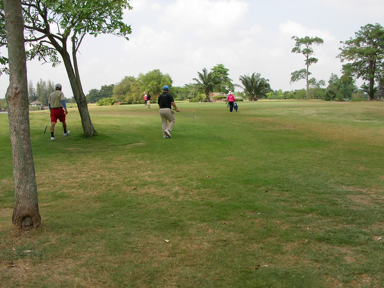 20140428_04.jpg
