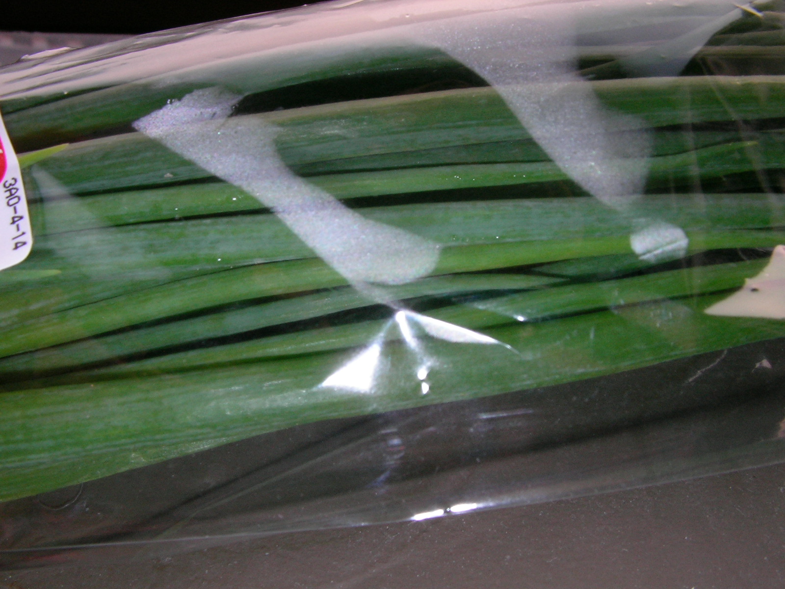 20150216_05.jpg
