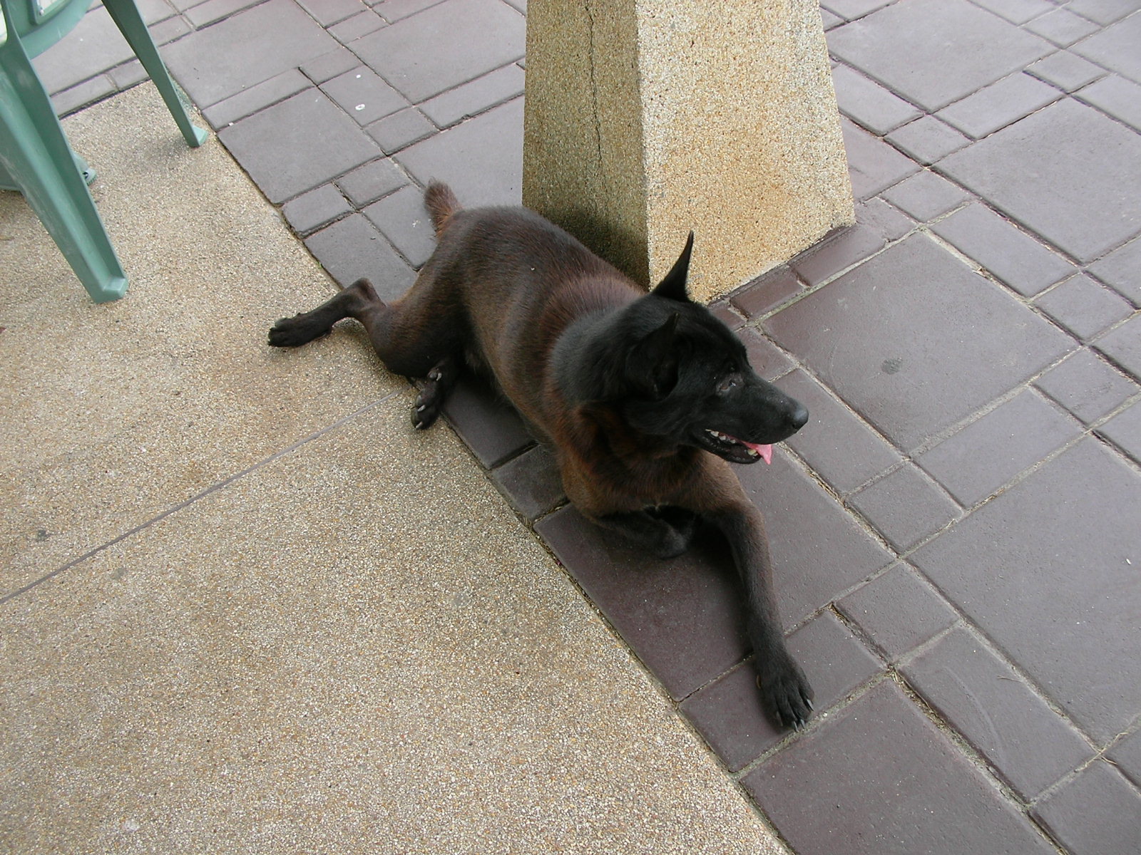 20140730_12.jpg