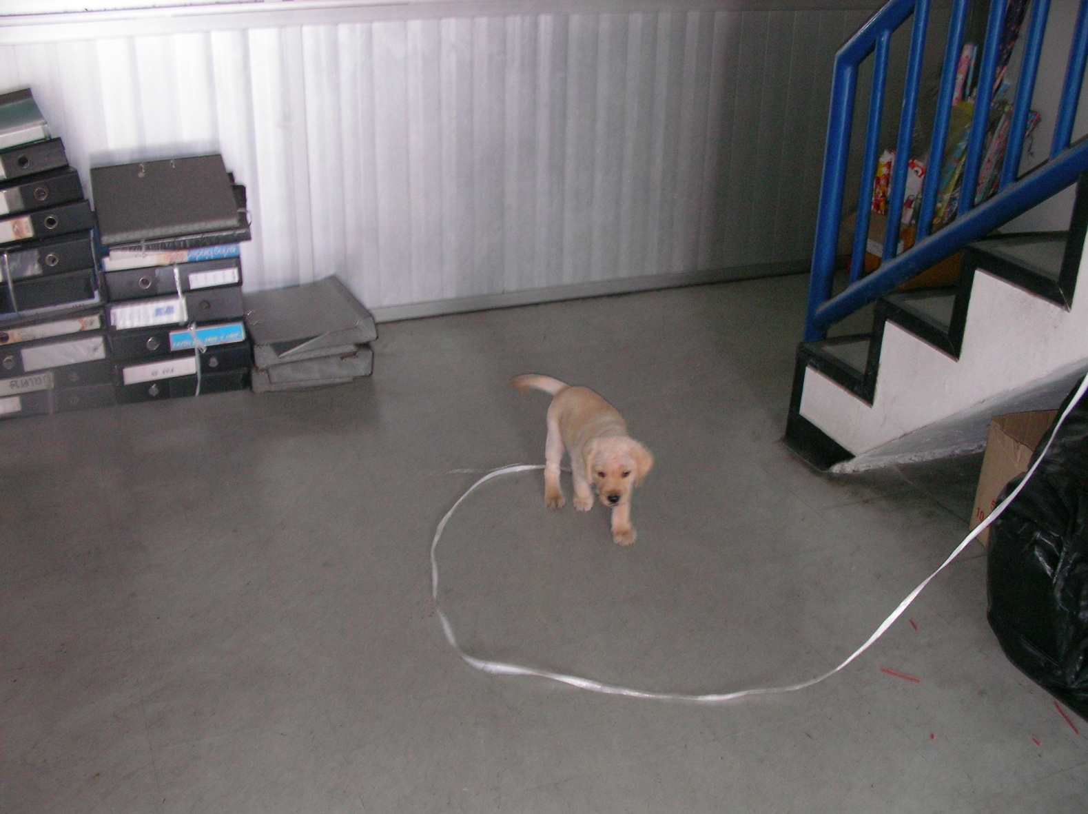 20131102_04.jpg