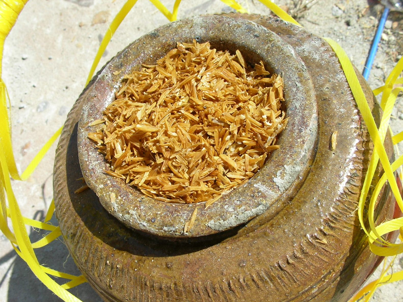 20130123_07.jpg