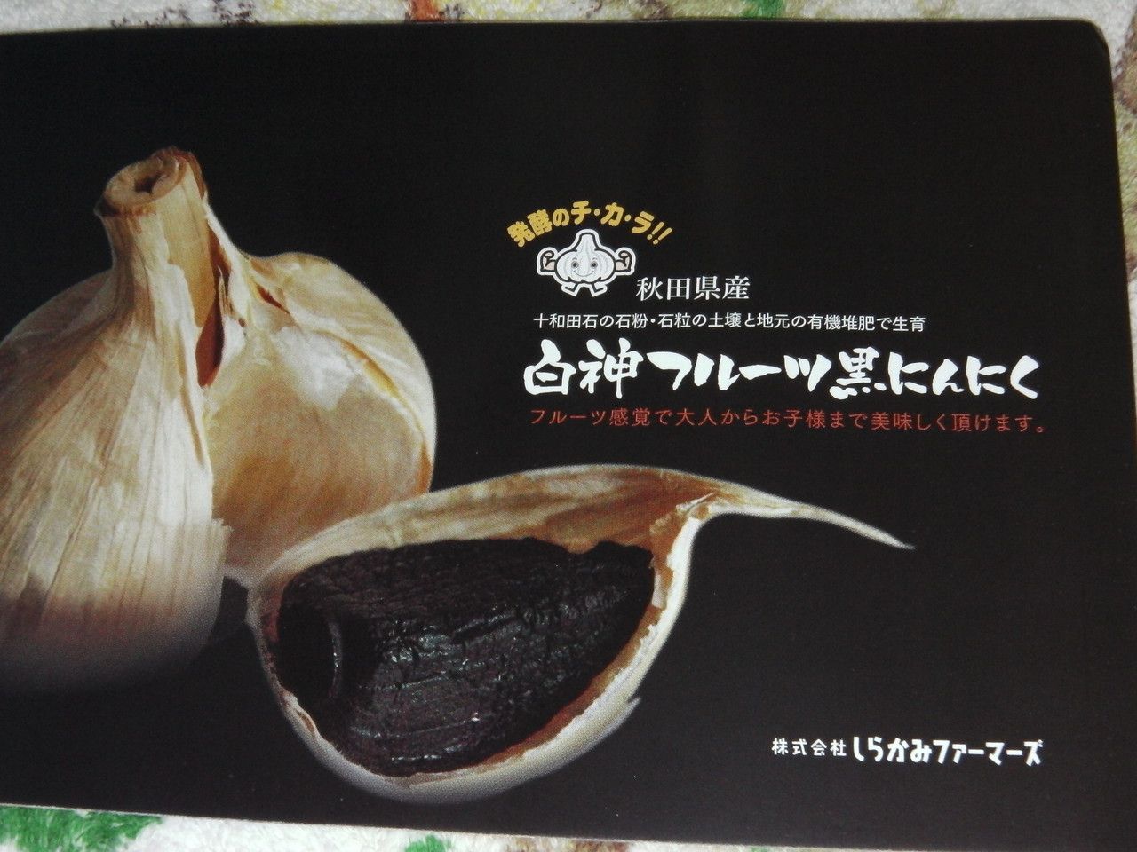 20160815_10.jpg