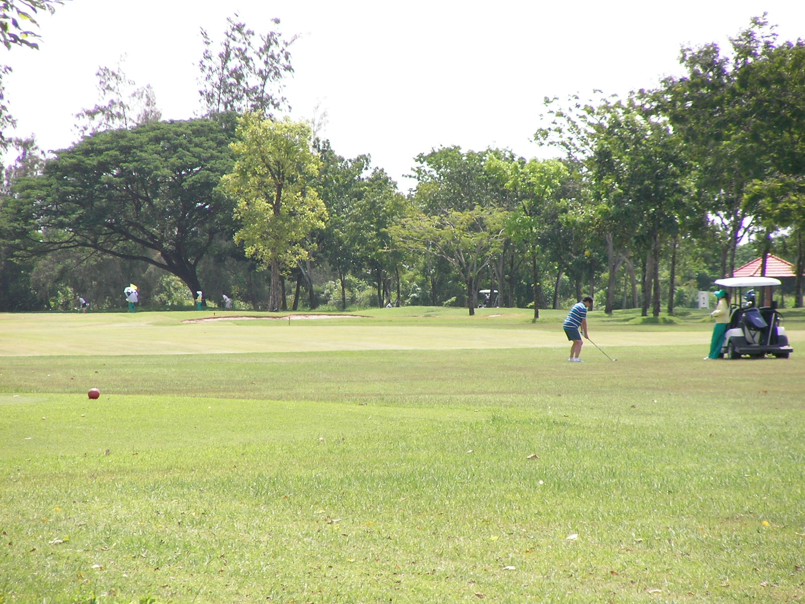 20140730_07.jpg