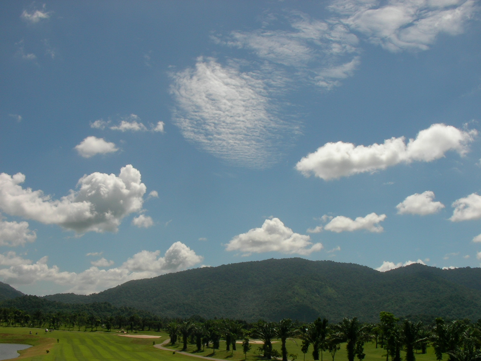 20130705_03.jpg