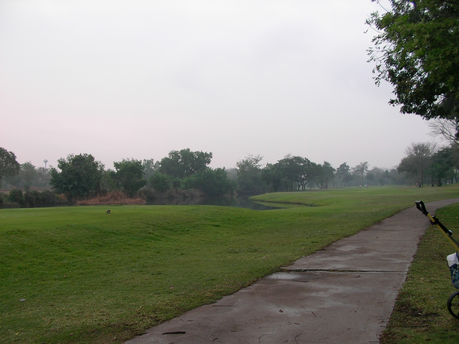 20150217_09.jpg
