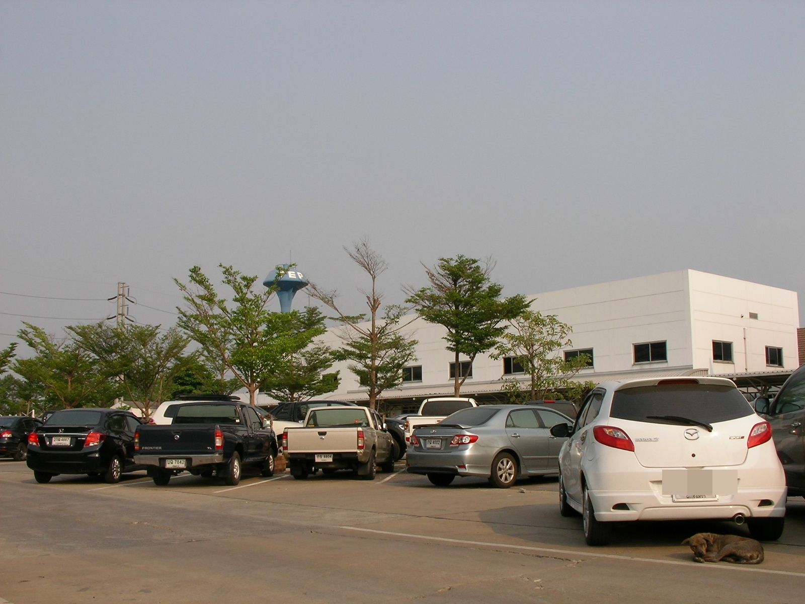 20150323_08.jpg