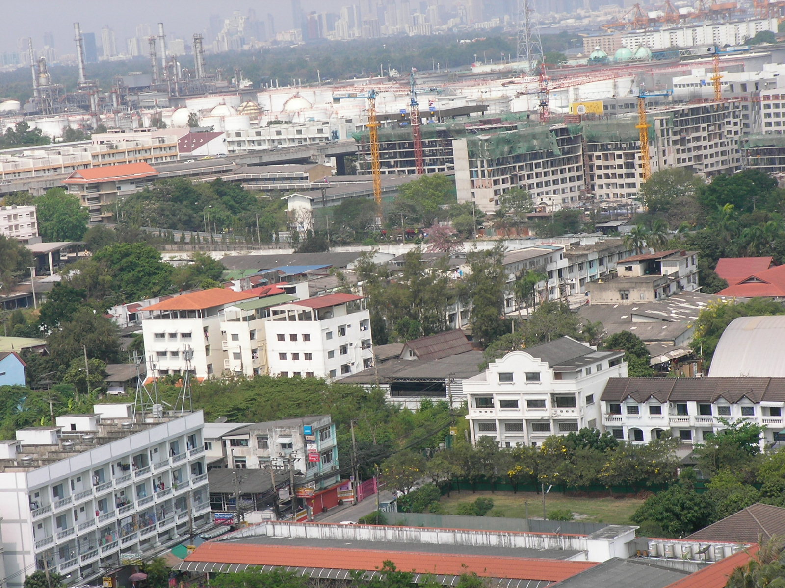 20140629_05.jpg