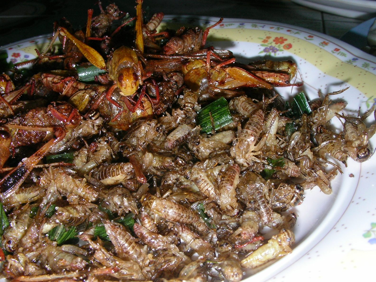 20130123_18.jpg