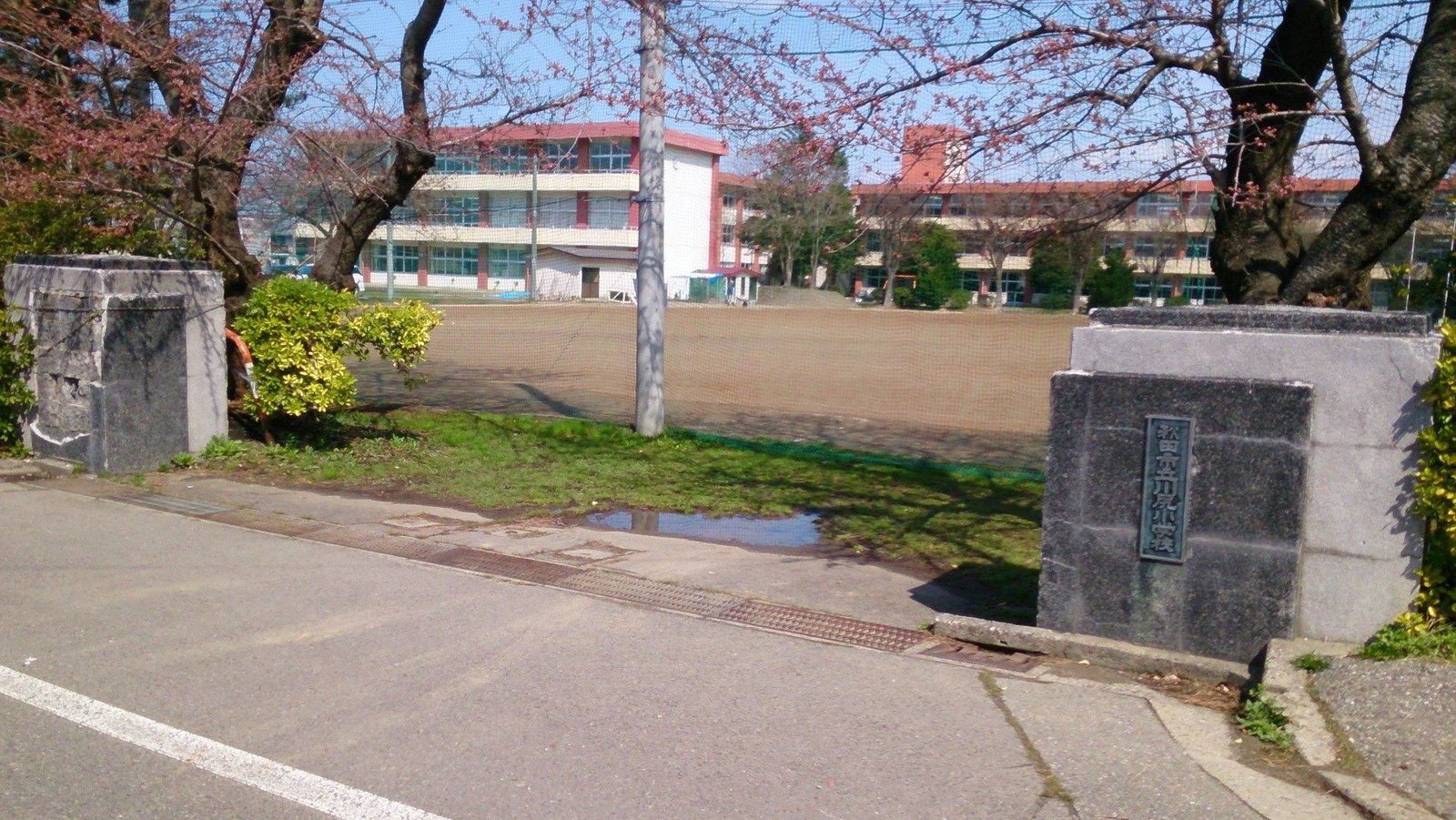 20160530_01.jpg
