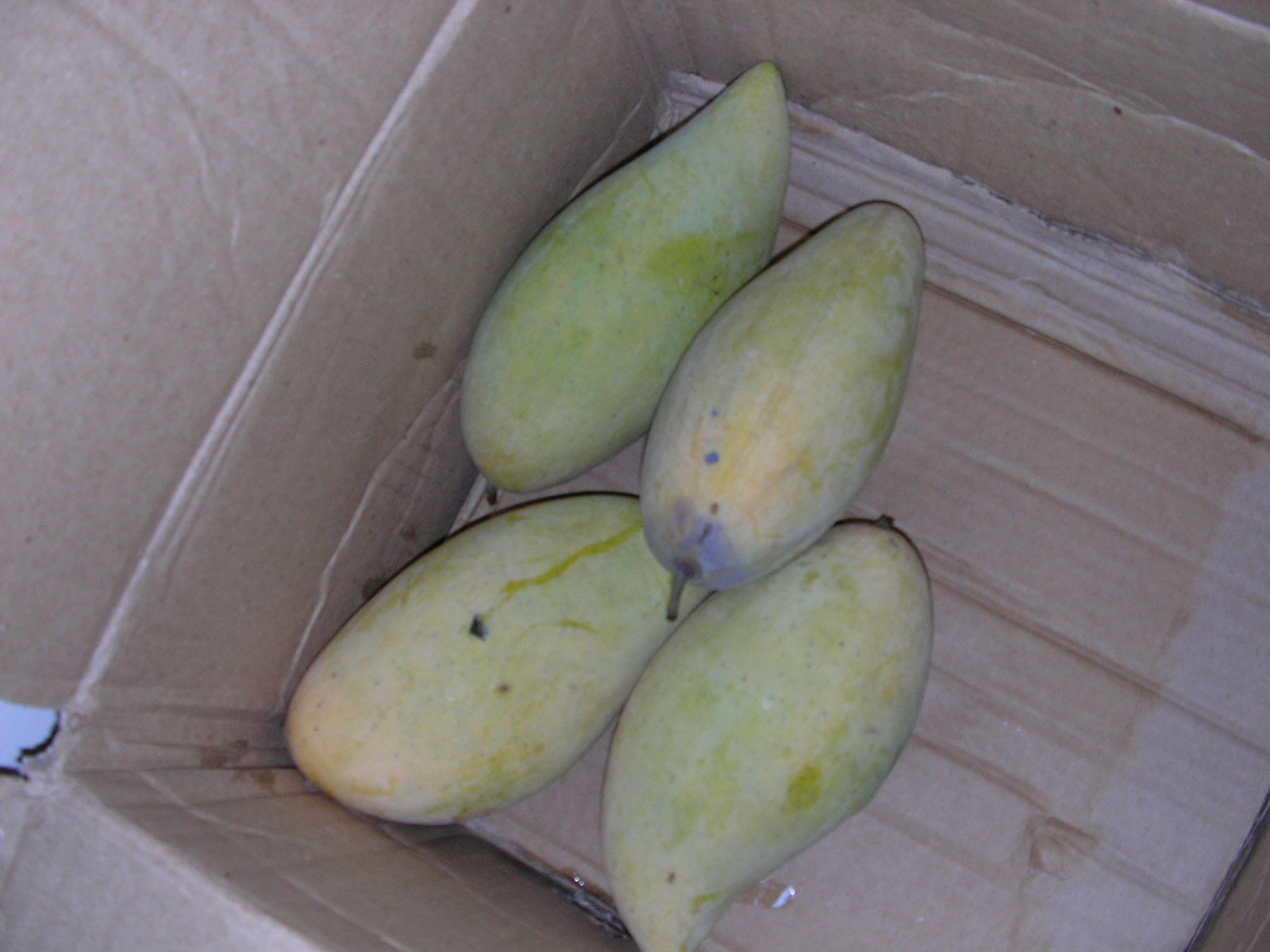 20140515_05.jpg