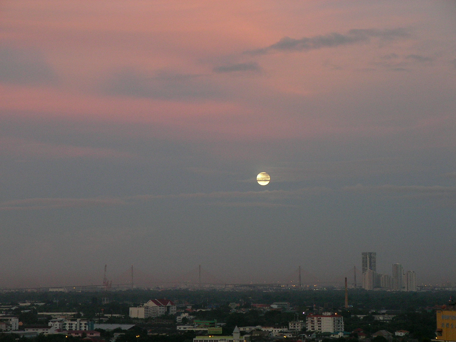20140814_02.jpg