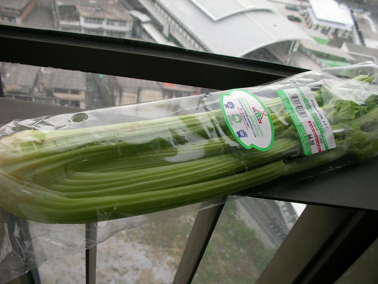 20150615_12.jpg