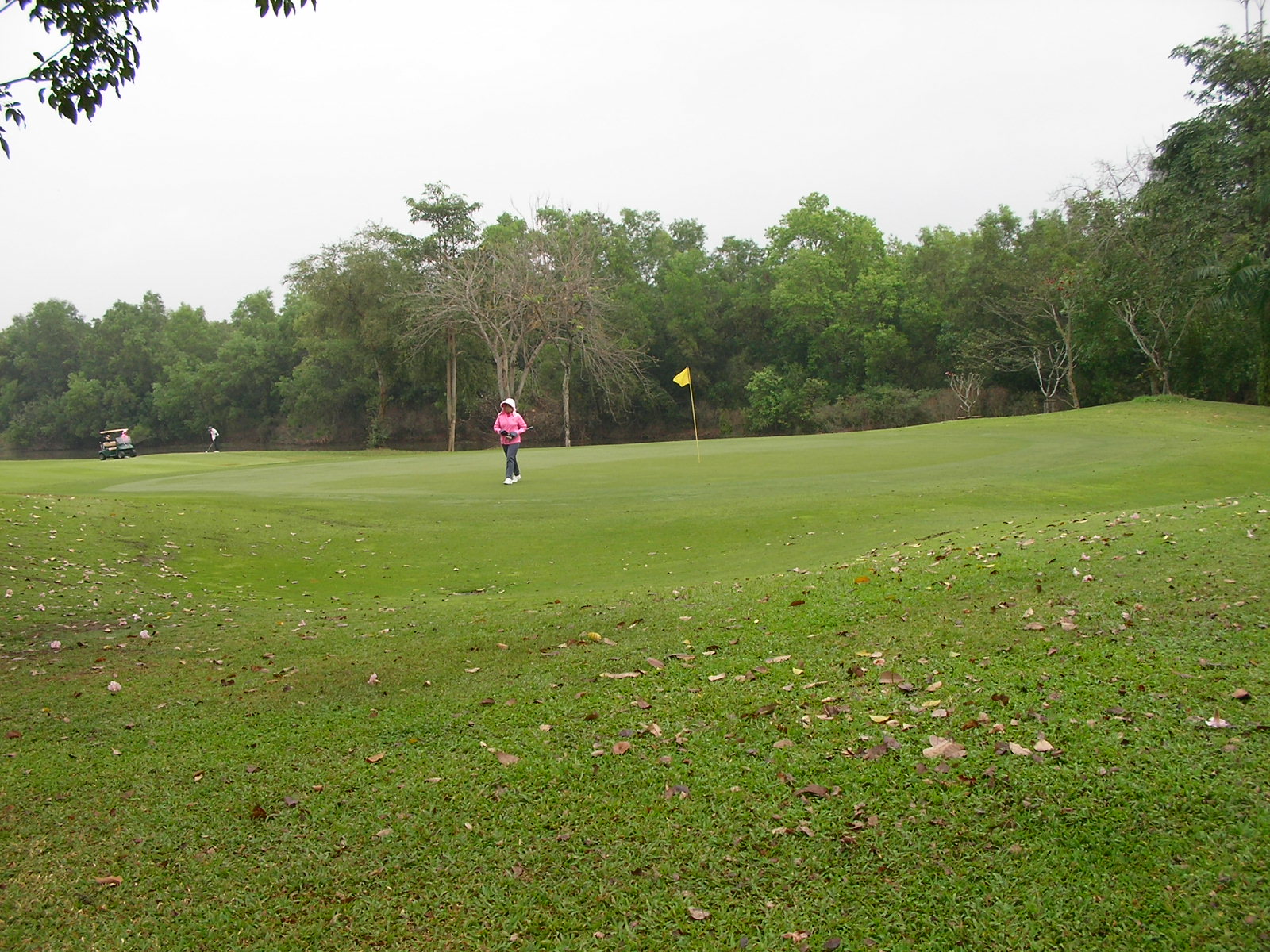 20150217_11.jpg