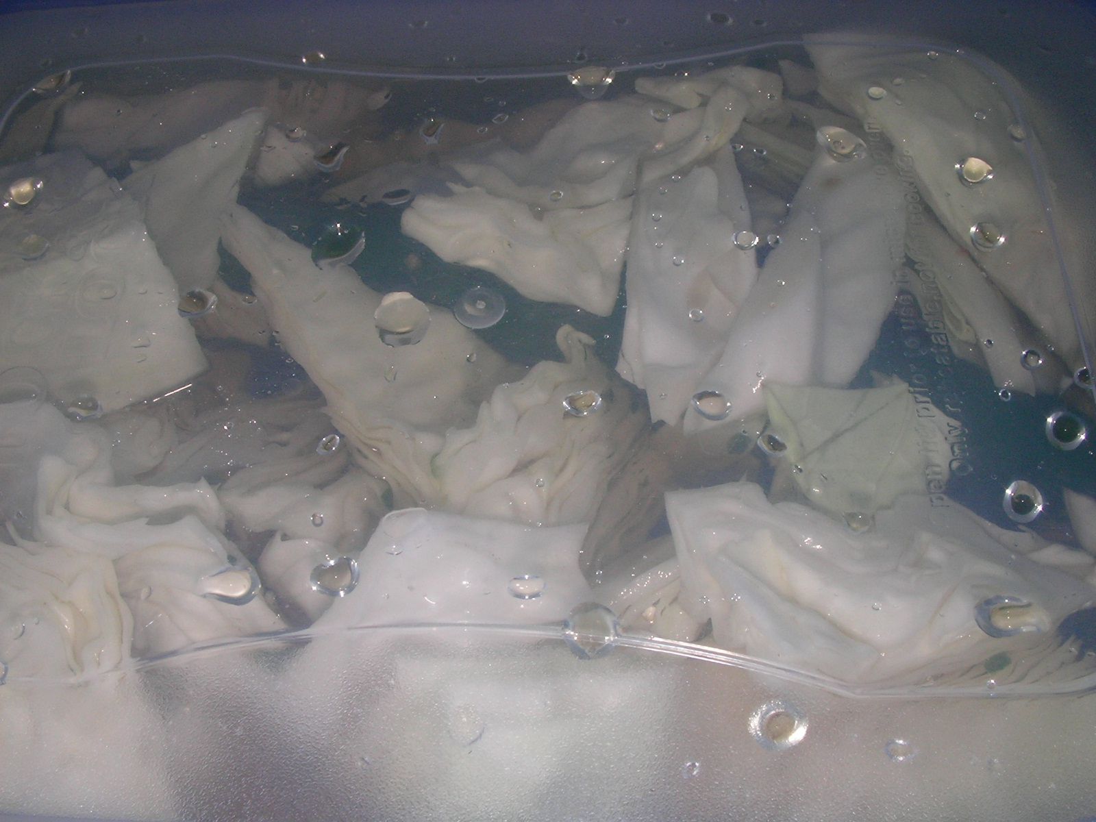 20150911_09.jpg