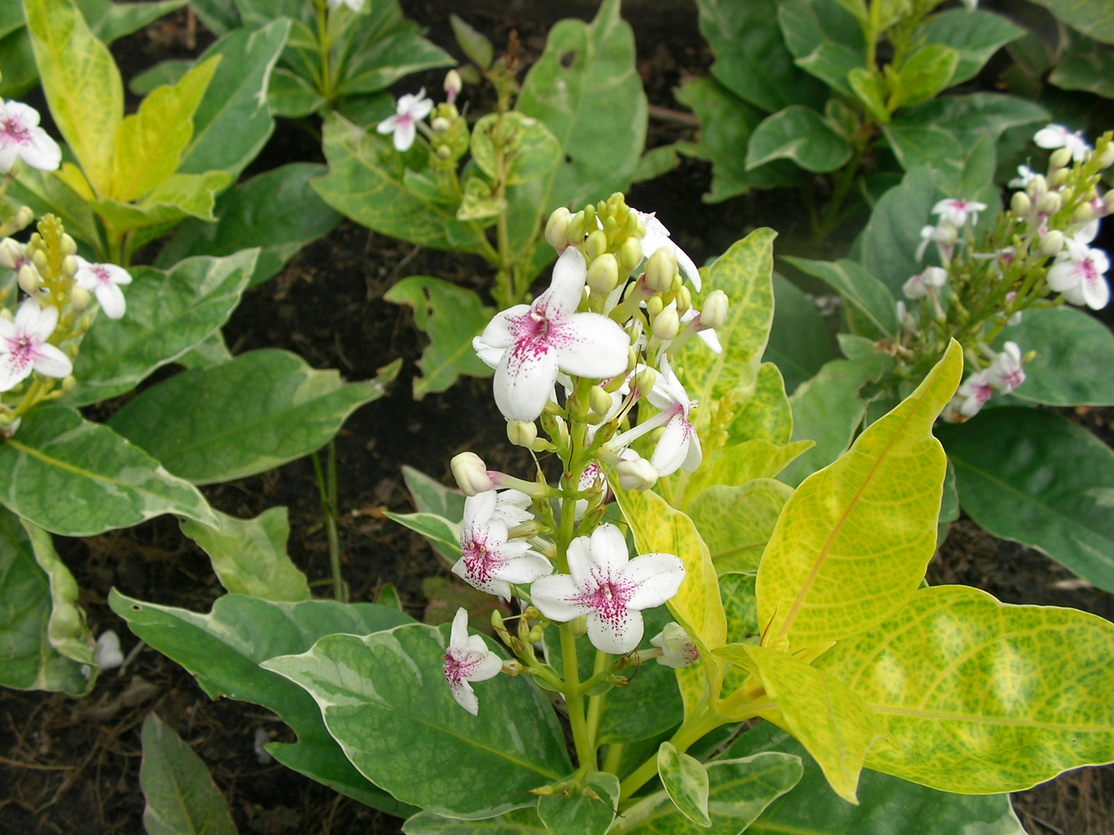 20141020_07.jpg