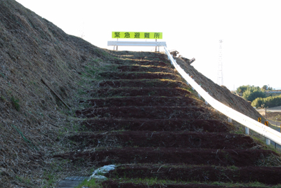 20120317_06.jpg