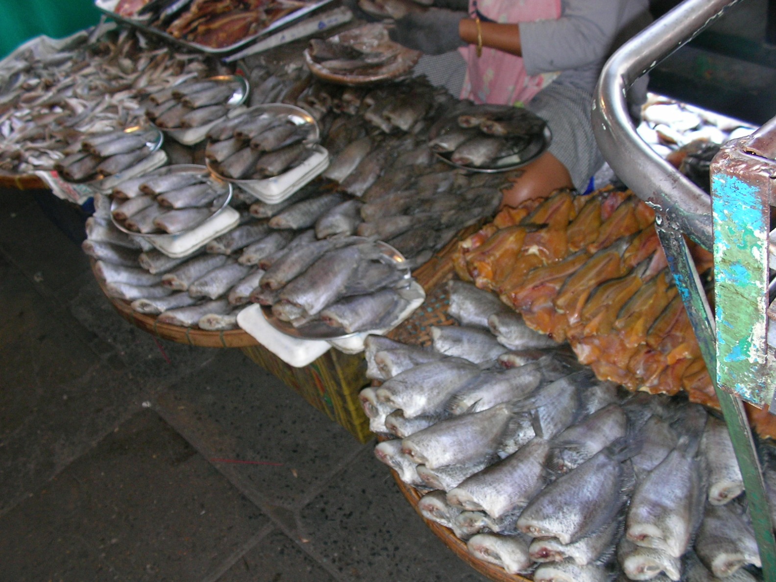20130305_13.jpg