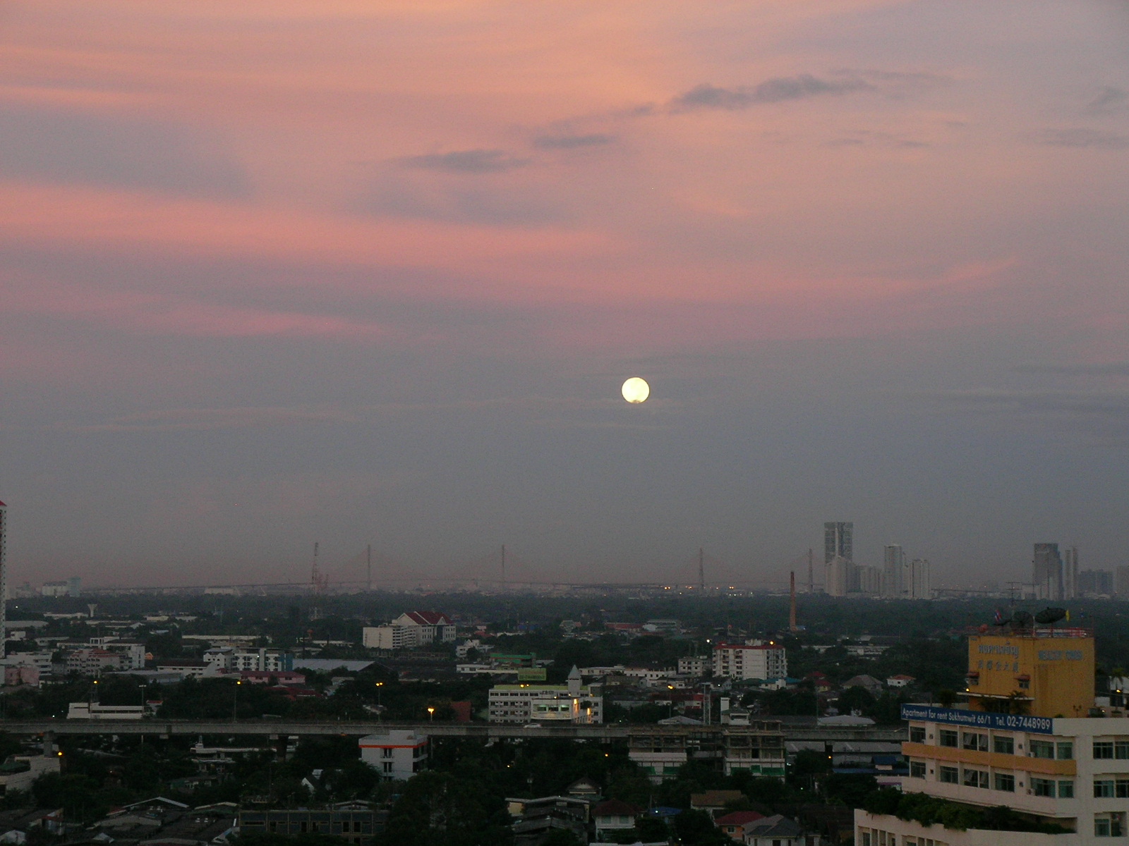 20140814_05.jpg
