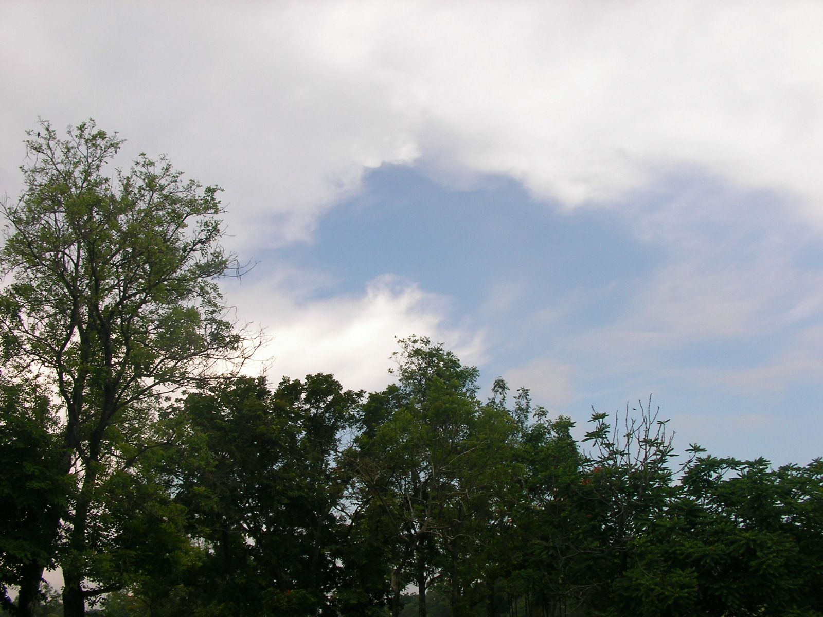 20150521_02.jpg