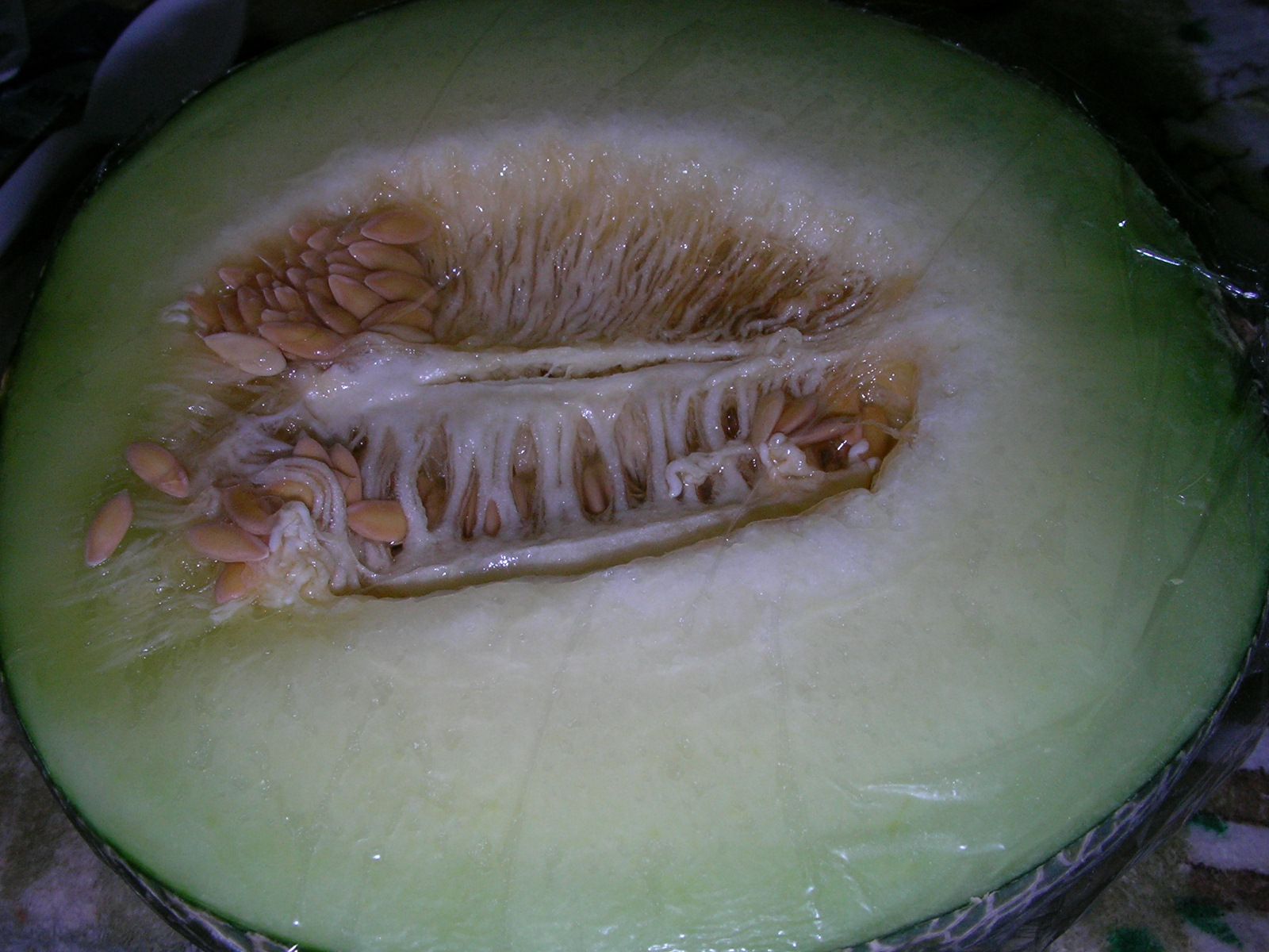20151119_14.jpg